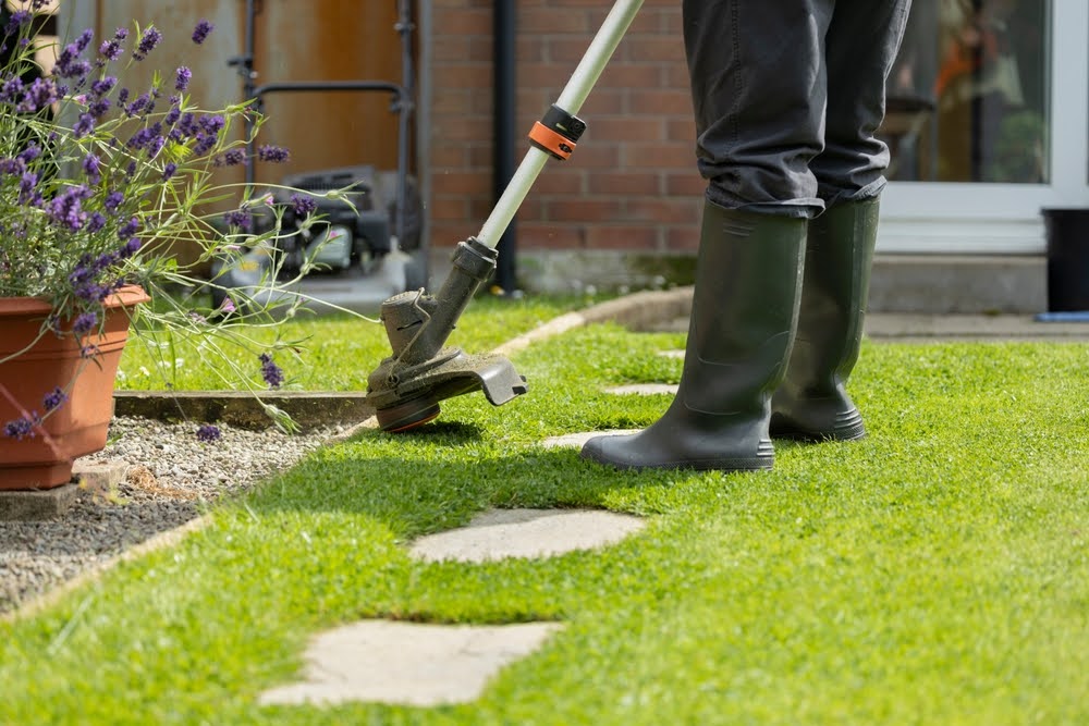 Person trimming grass along the walkway as part of a seasonal home improvement project.